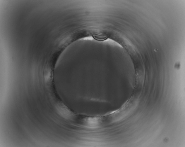 X0000101980134200808151410