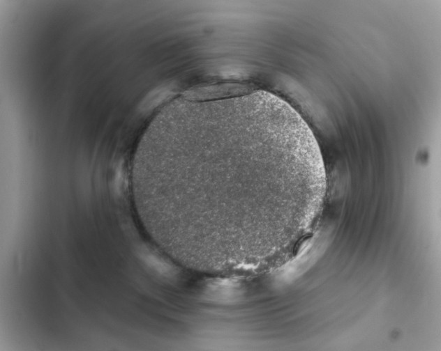 X0000101980140200808151410