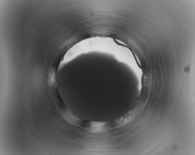 X0000101980143200808151410