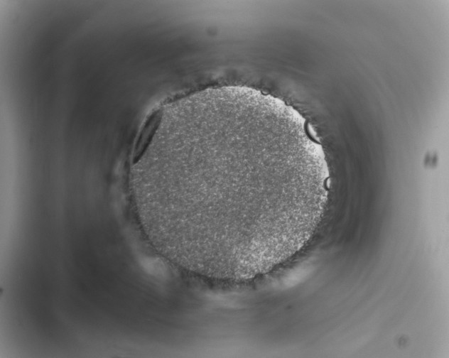 X0000101980144200808151409