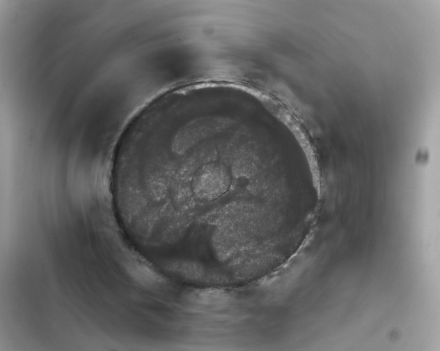 X0000101980146200808151409