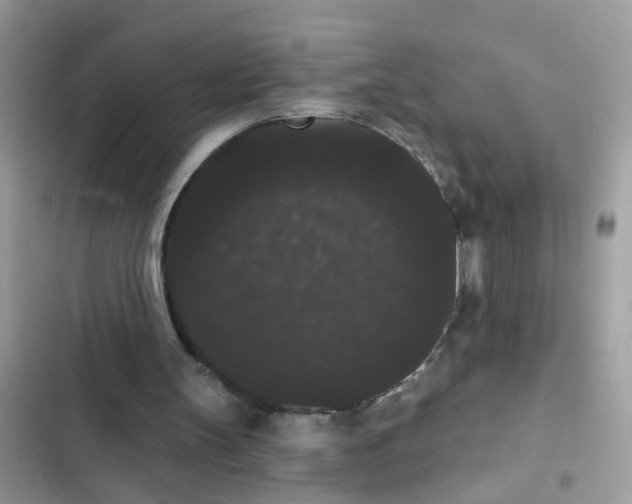 X0000101980147200808151409