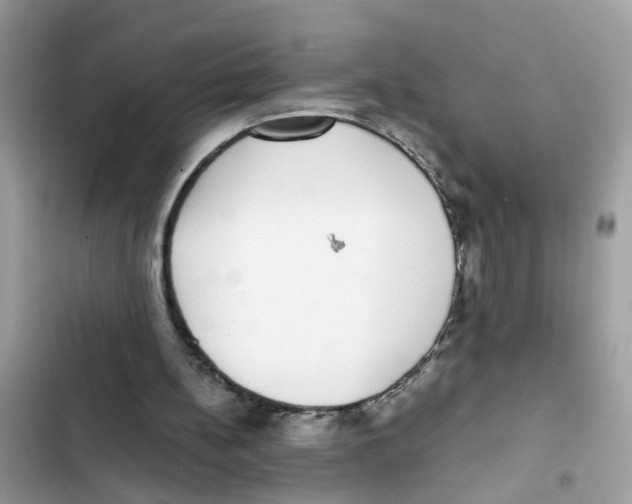 X0000101980148200808151409