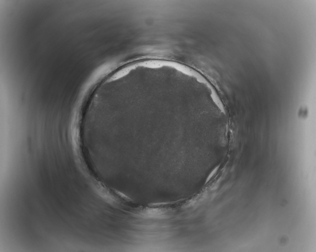 X0000101980149200808151409