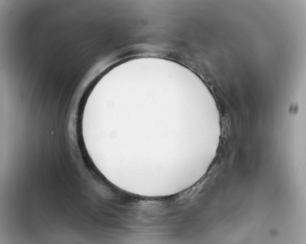 X0000101980150200808151409