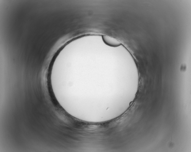 X0000101980151200808151409