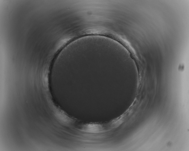 X0000101980154200808151409