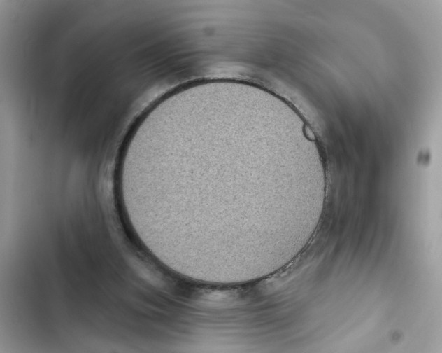 X0000101980155200808151409