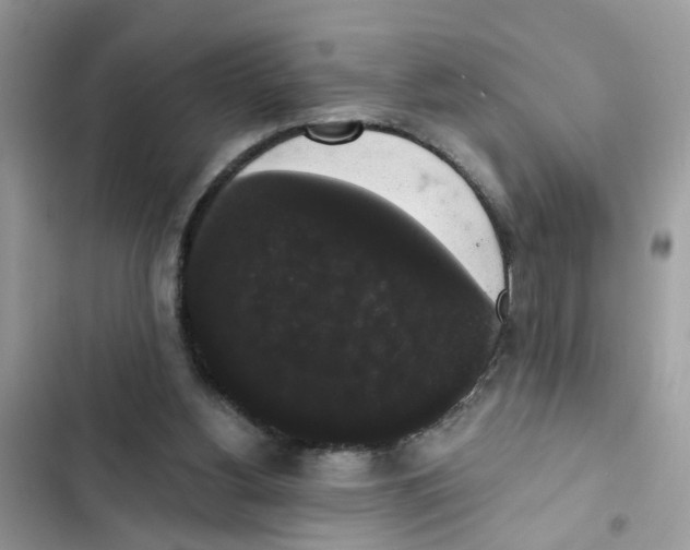 X0000101980156200808151409