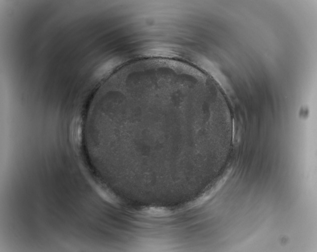 X0000101980157200808151409