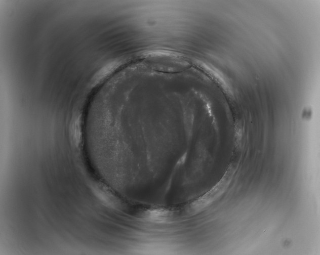 X0000101980158200808151409