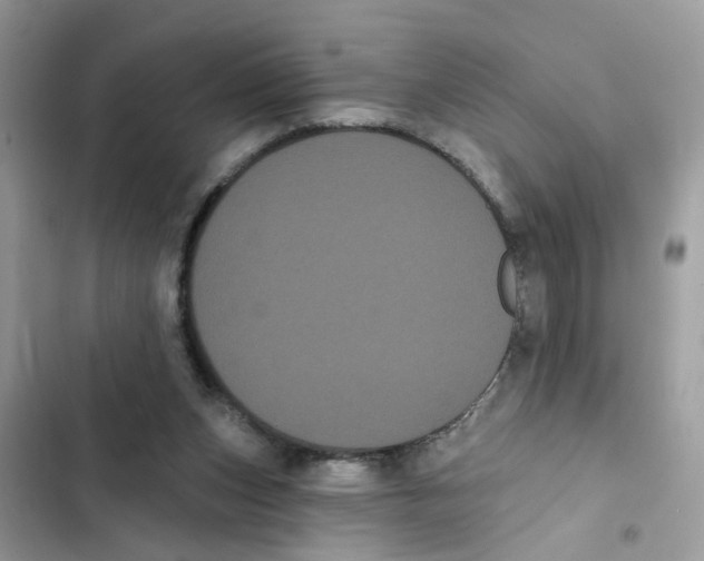 X0000101980159200808151409