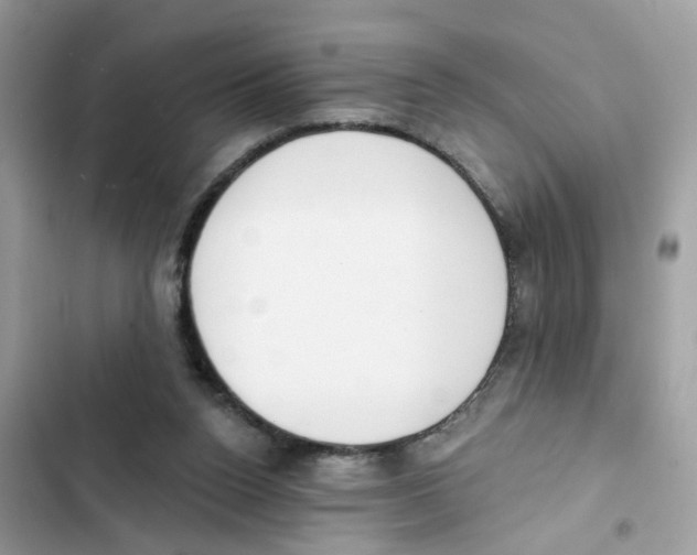 X0000101980160200808151409