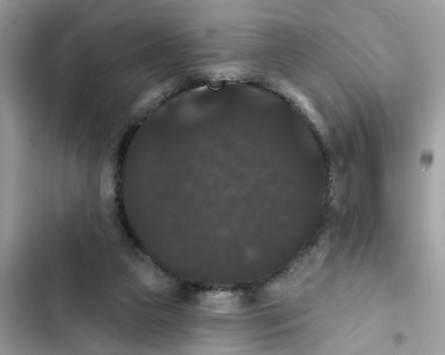 X0000101980161200808151409