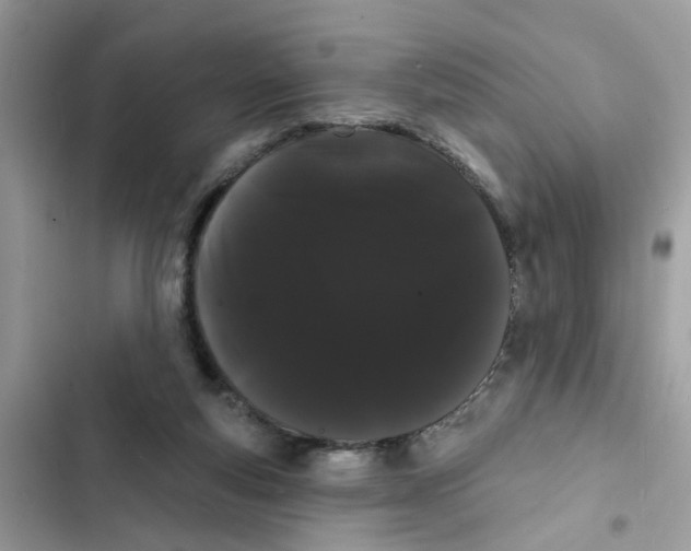 X0000101980163200808151409