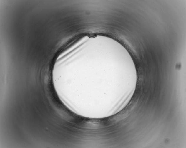 X0000101980164200808151409