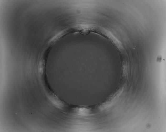 X0000101980165200808151409