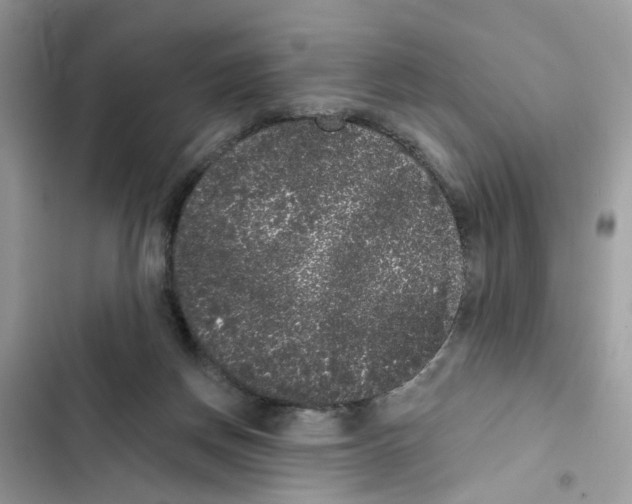 X0000101980166200808151409