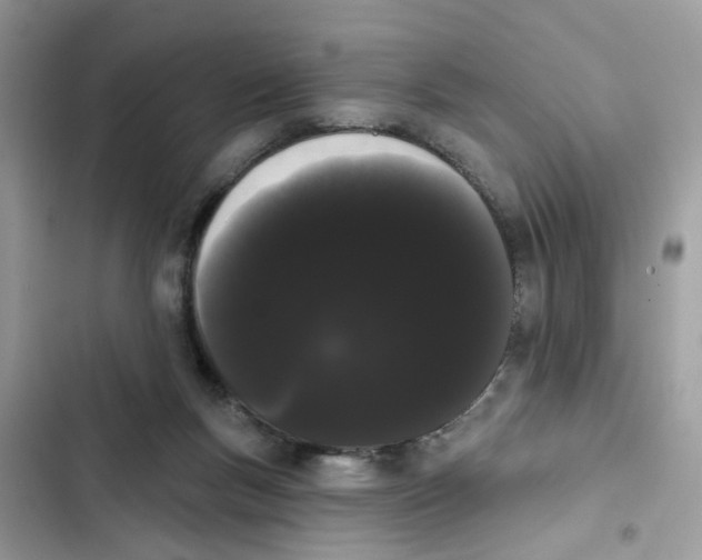 X0000101980167200808151409