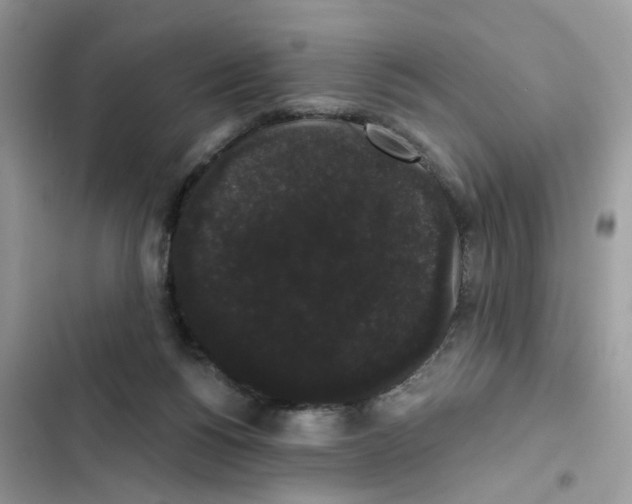 X0000101980168200808151409