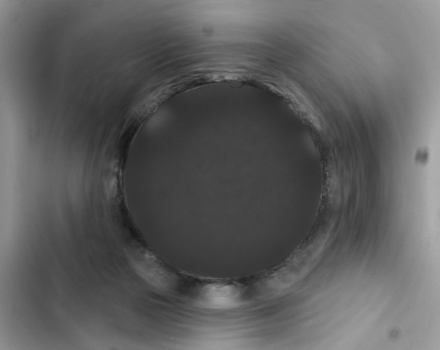 X0000101980169200808151409