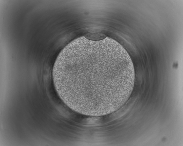 X0000101980172200808151409