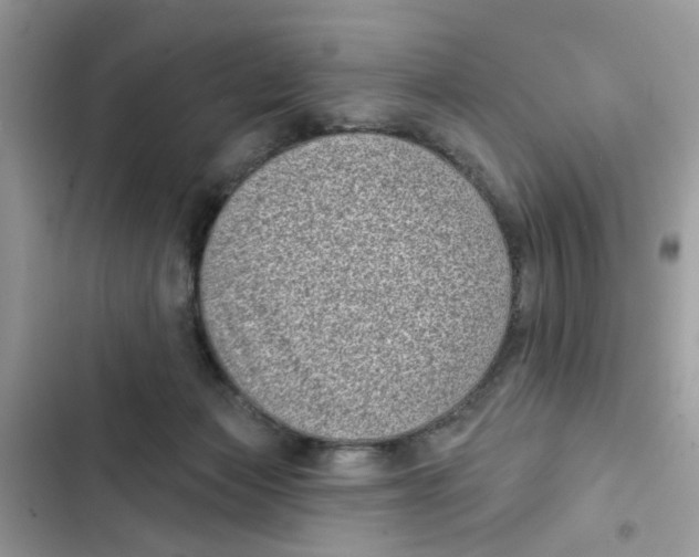 X0000101980173200808151409