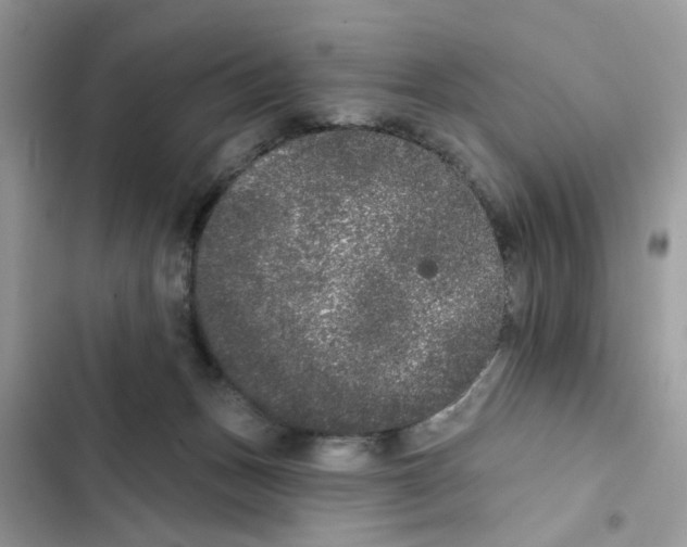 X0000101980175200808151409