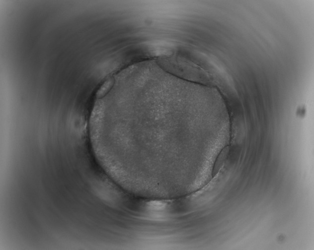 X0000101980176200808151409