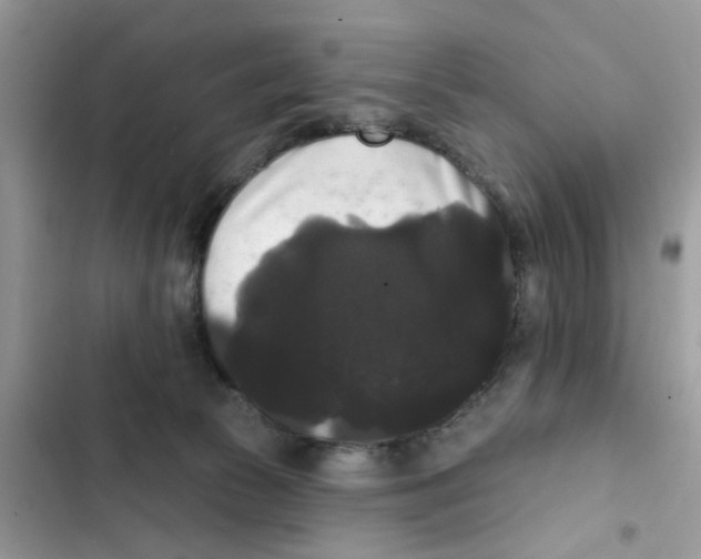 X0000101980177200808151409