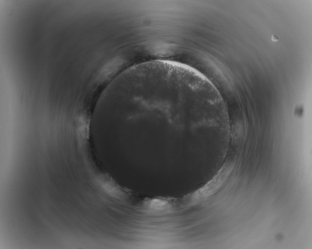 X0000101980180200808151409