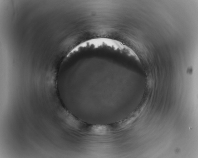 X0000101980181200808151409