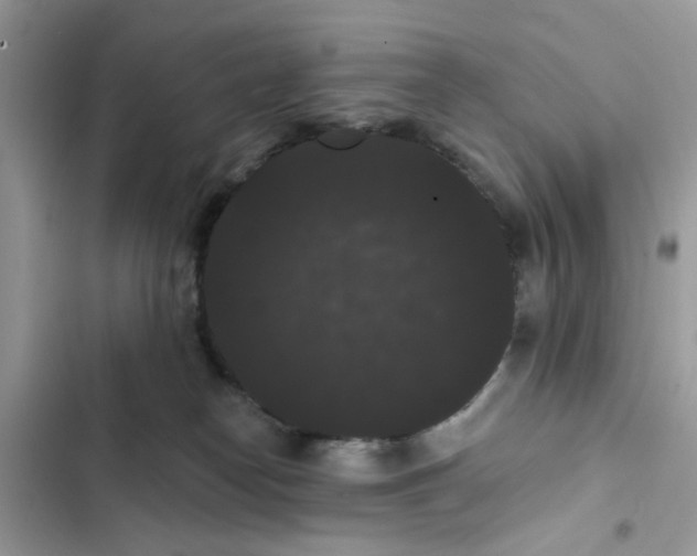 X0000101980182200808151409