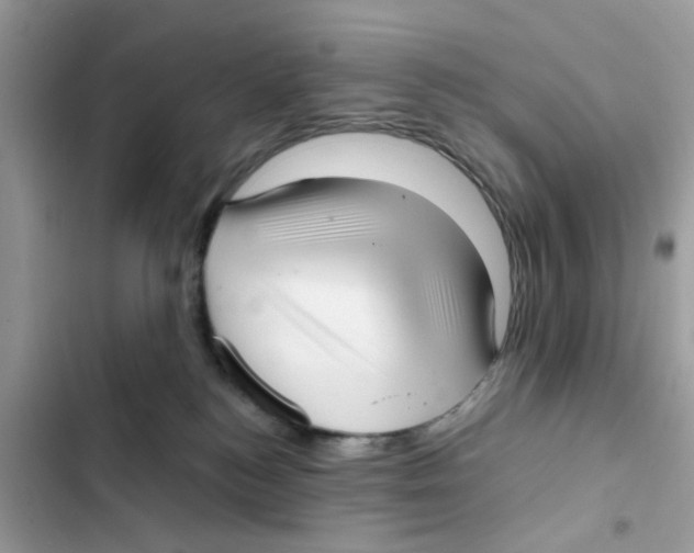 X0000101980184200808151409