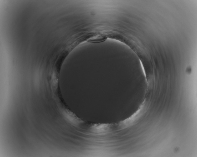 X0000101980186200808151409