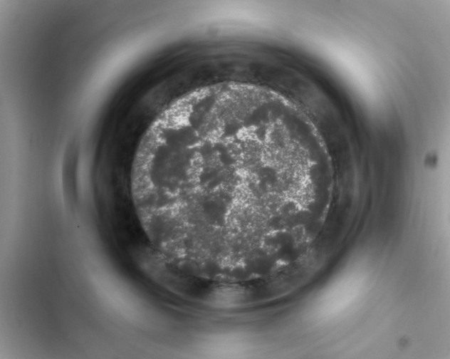 X0000101980189200808151409