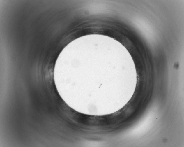 X0000101980190200808151409