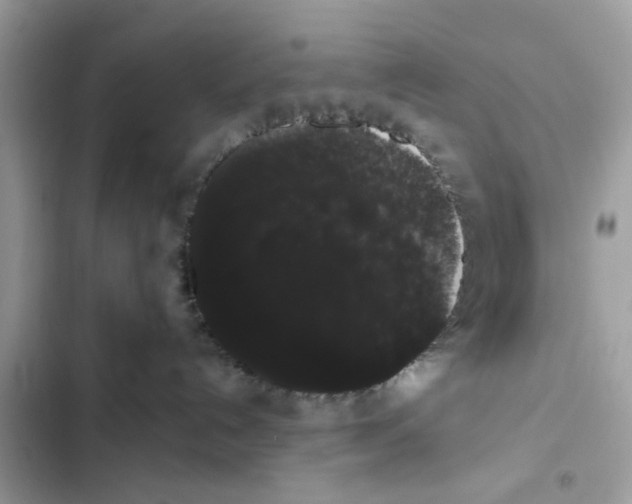 X0000101980192200808151409