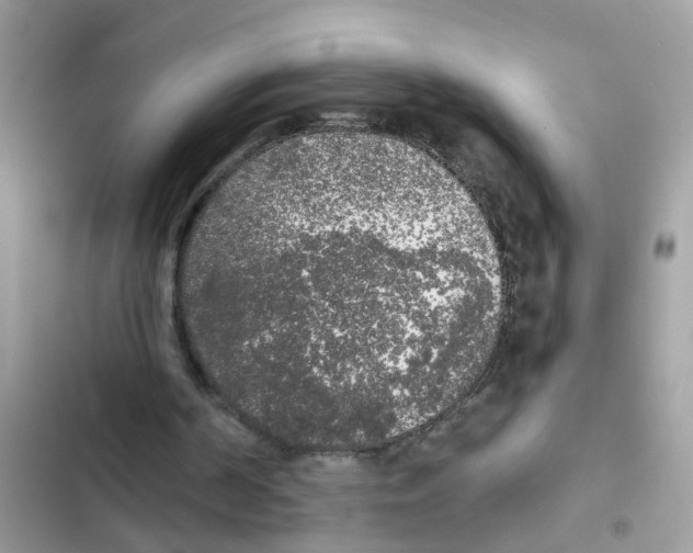 X0000101980194200808151409