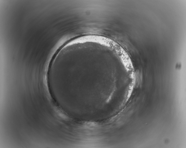 X0000101980195200808151409