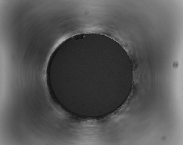 X0000101980196200808151409