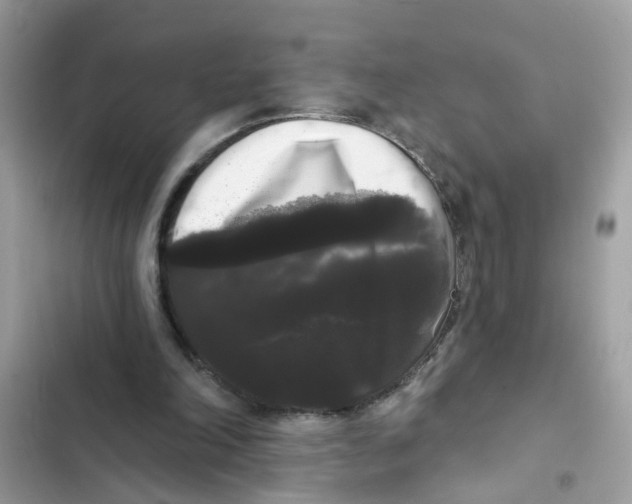 X0000101980198200808151409