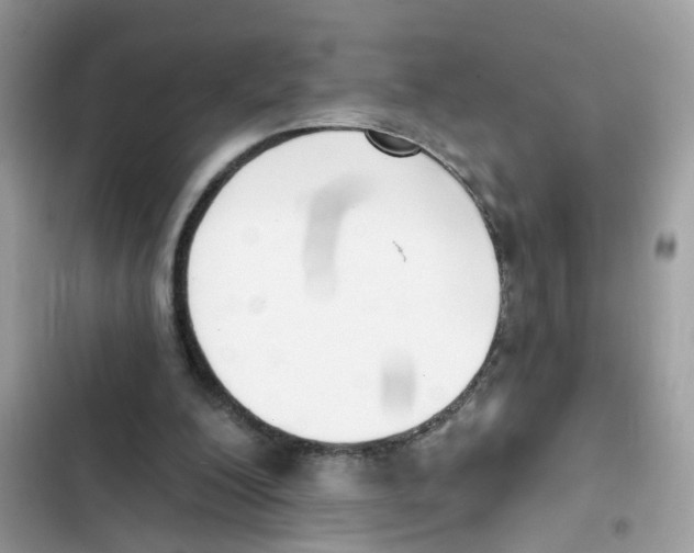 X0000101980200200808151409