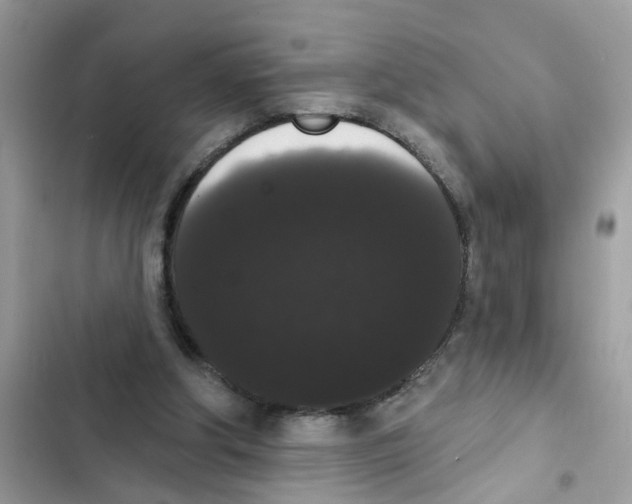 X0000101980202200808151409