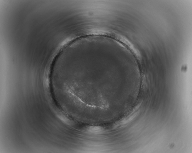 X0000101980203200808151409