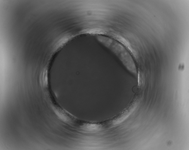 X0000101980205200808151409