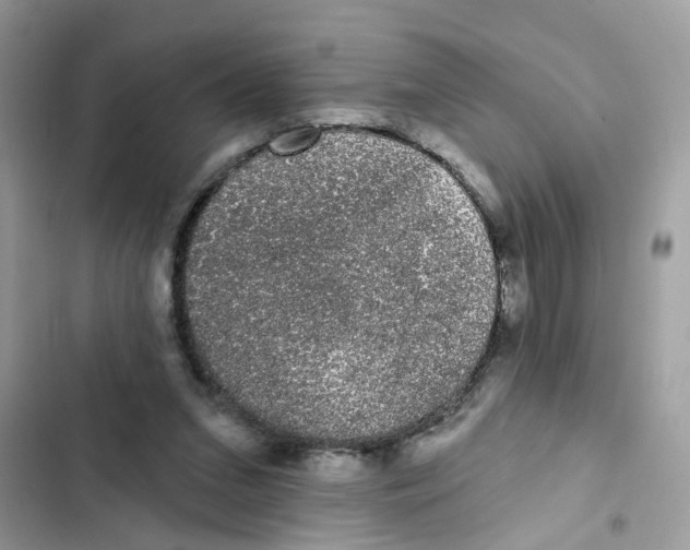 X0000101980207200808151408