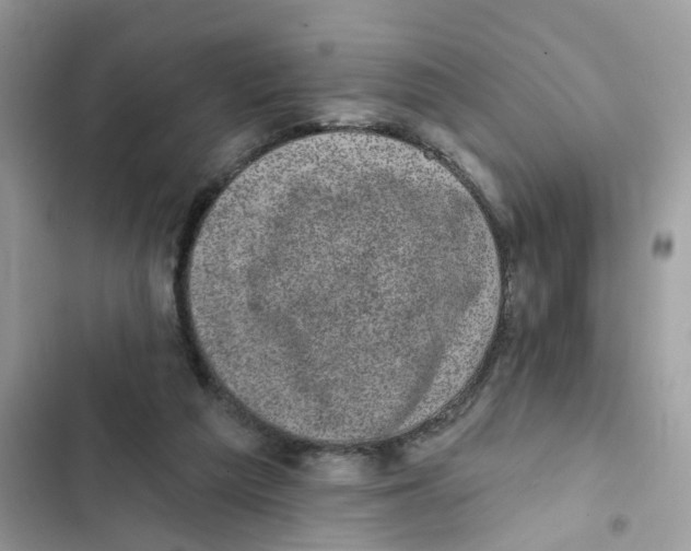 X0000101980209200808151408