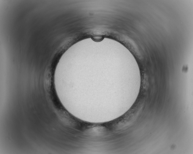 X0000101980210200808151408