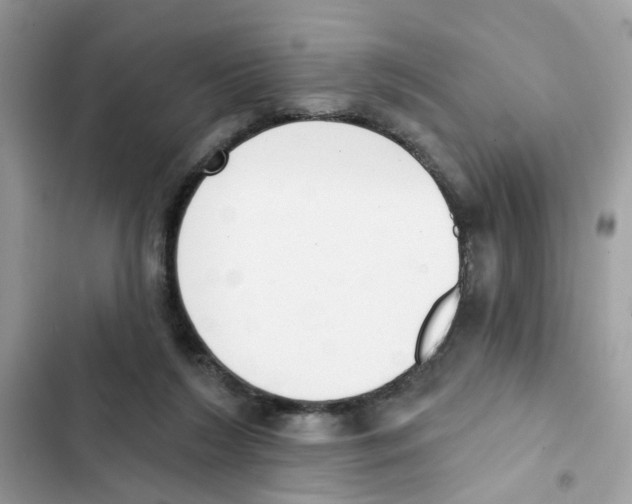 X0000101980212200808151408